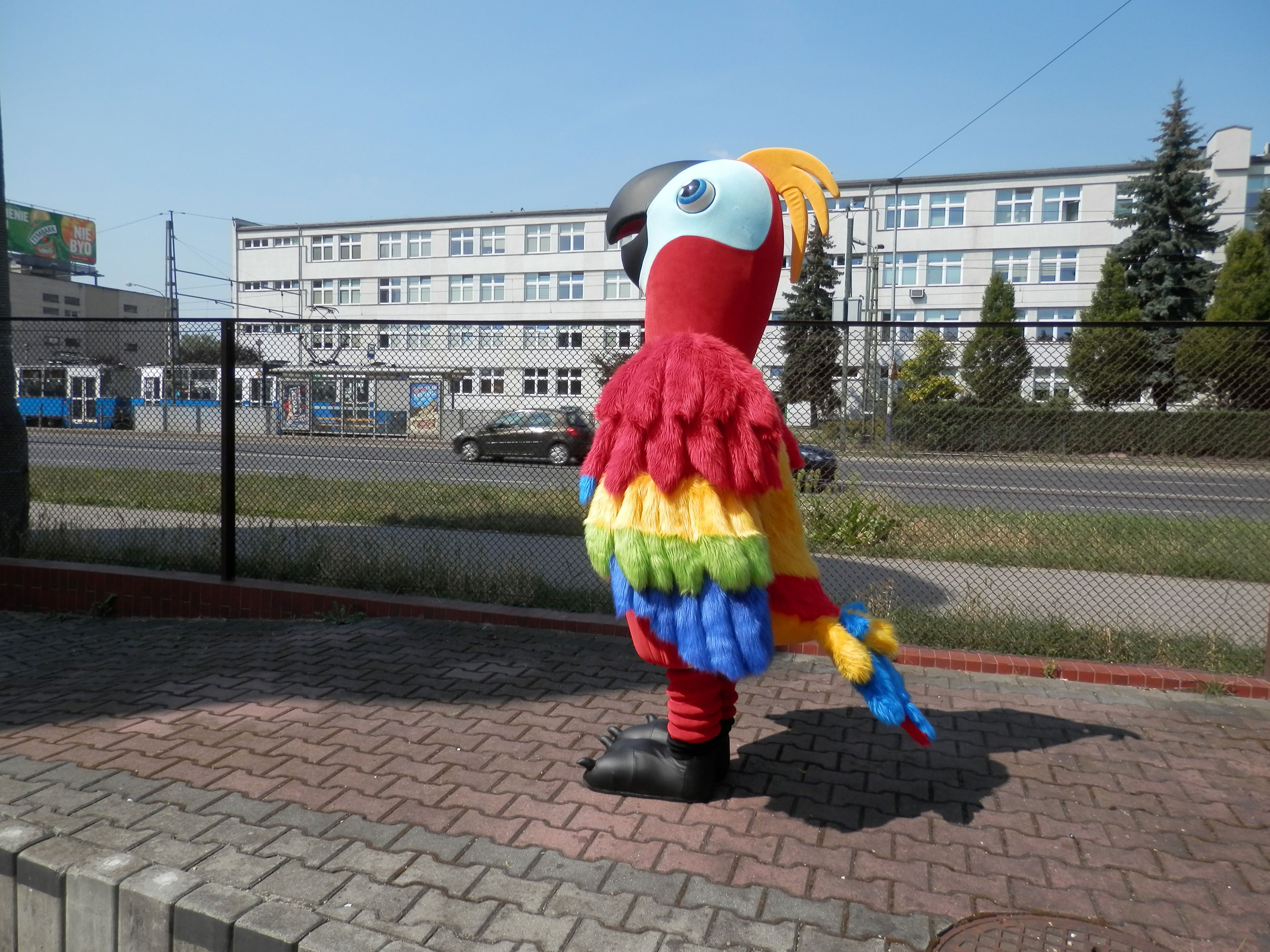 Opisujemy kostiumy reklamowe tak jak chciało nam się je opisać. Papuga 